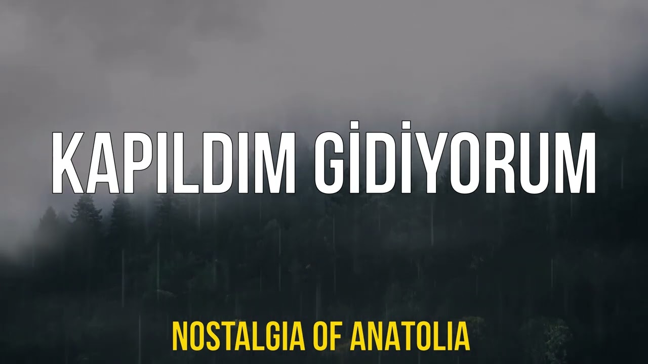 KAPILDIM GİDİYORUM MÜZEYYEN SENAR YAPAY ZEKA COVER @NostalgiaofAnatolia