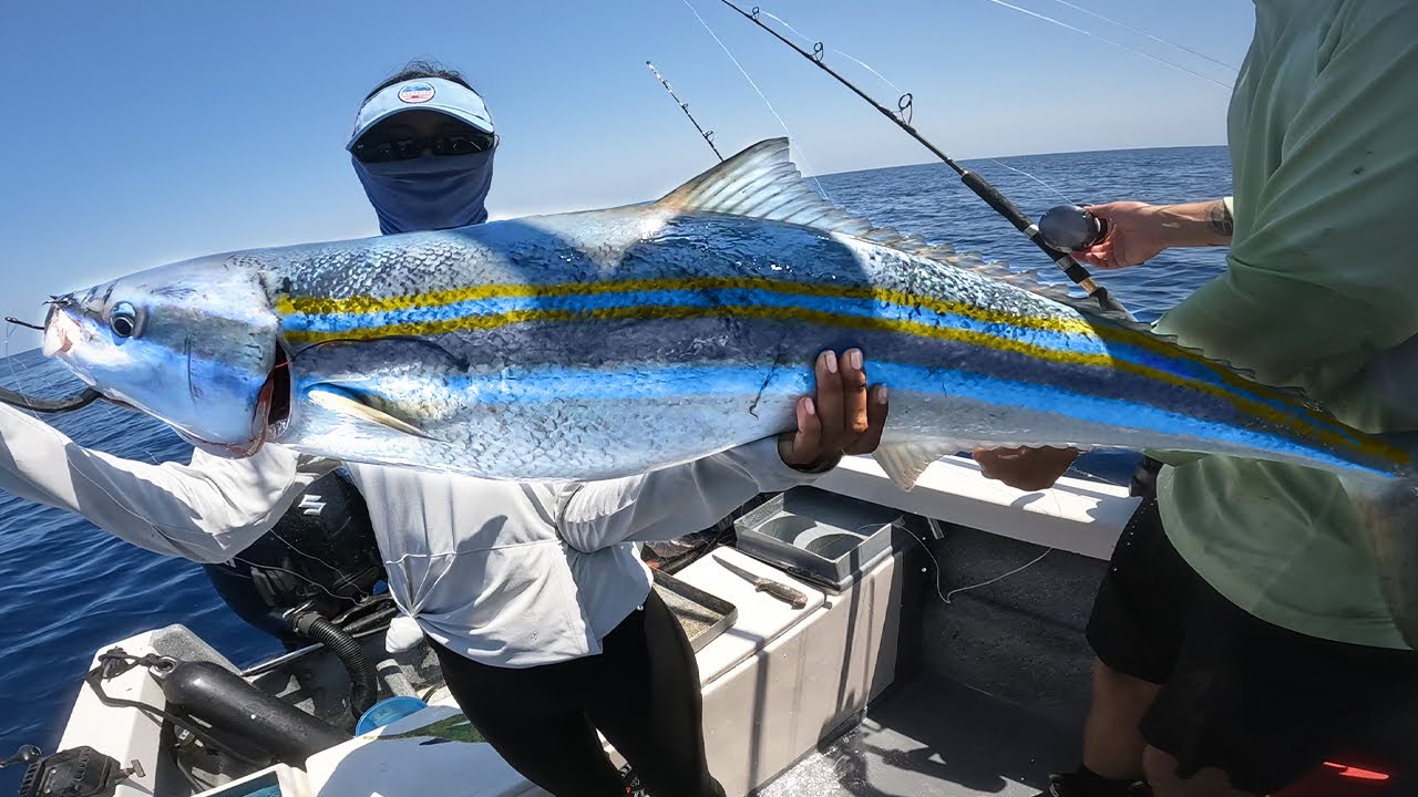 WORLD RECORD RAINBOW RUNNER!!! (Catch Clean Cook Mexico)