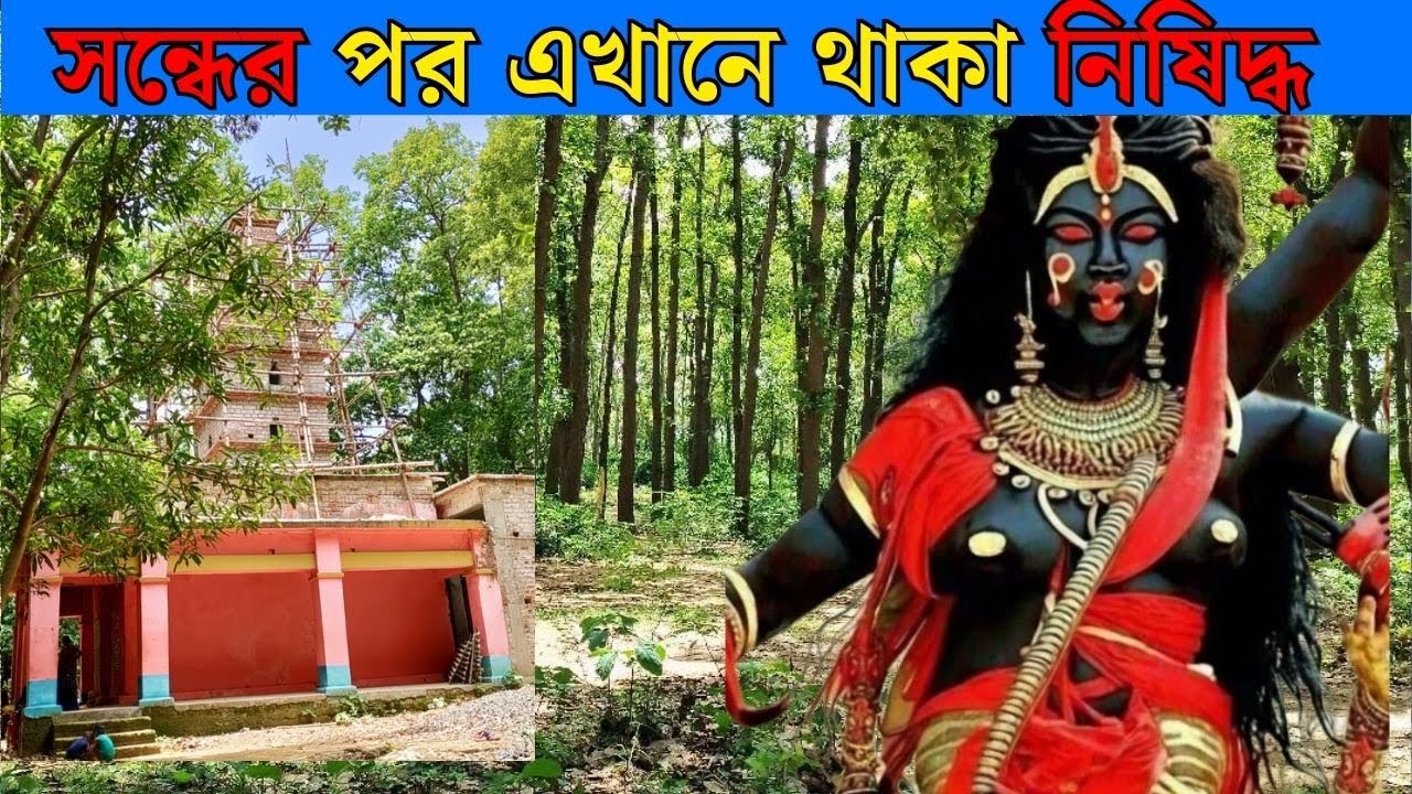 পাহাড় ,নদী, ঘন জঙ্গলে ঘেরা অলৌকিক দ্বারবাসিনী । DWARBASHINI MANDIR। Dwarbasini temple।