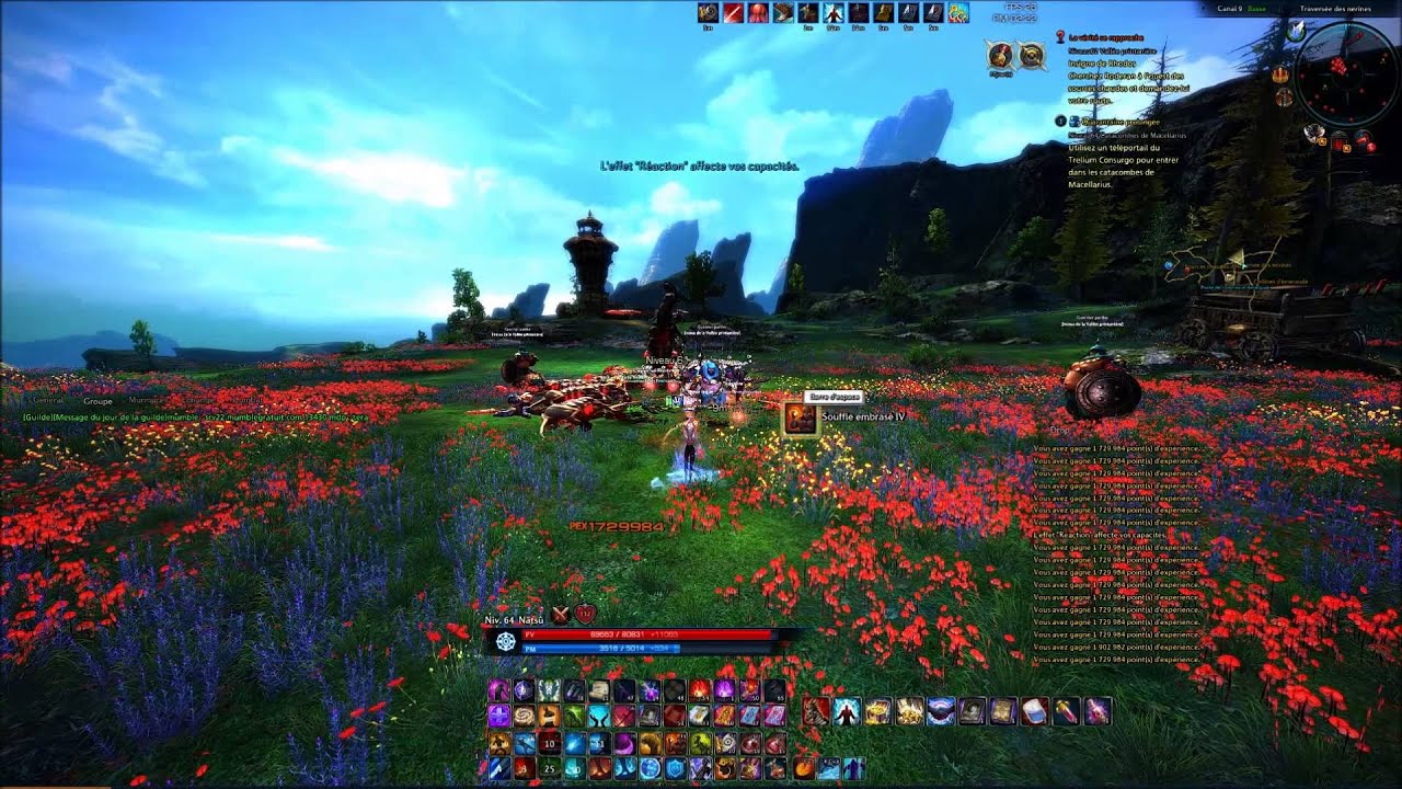 TERA Best way to leveling 60-65 Fast [OUTDATED]