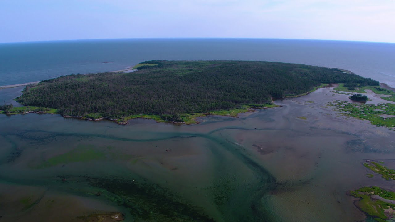 Coalies Head Island - Private Island for Sale in Nova Scotia, Canada