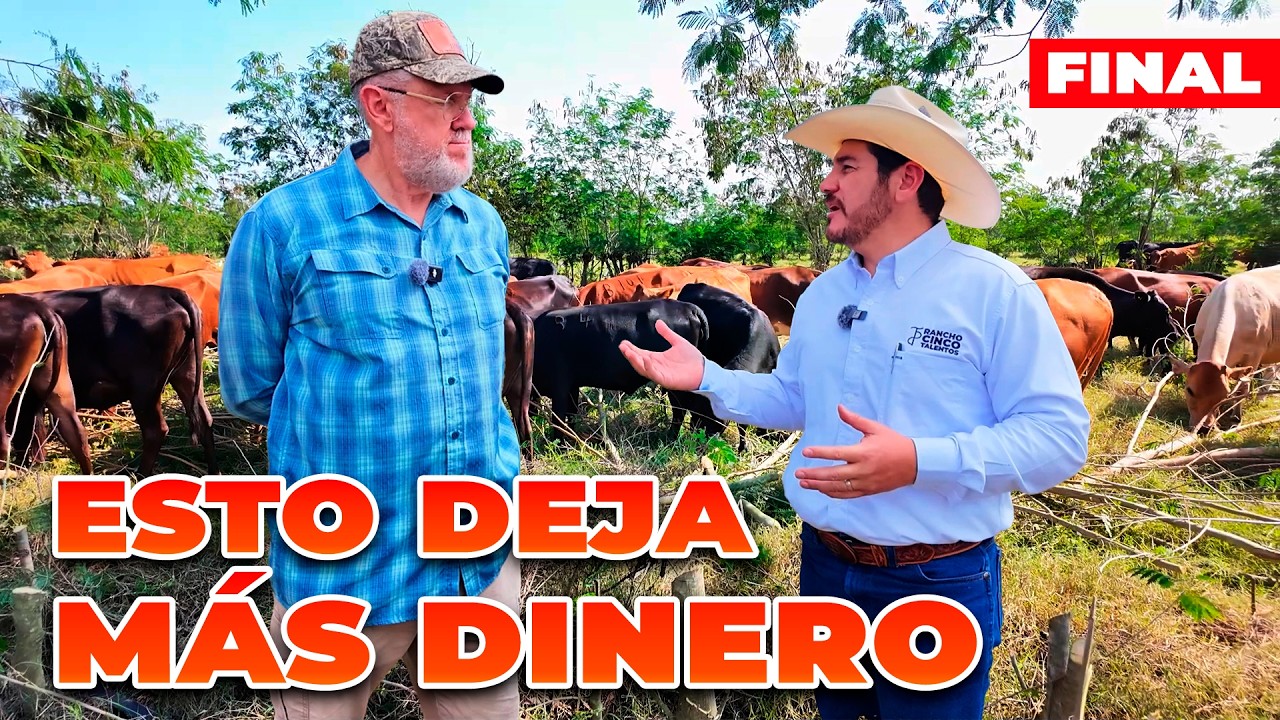 VENDER VACAS DEJA MÁS DINERO PARA EL RANCHO  | Jaime Elizondo | Rancho Cinco Talentos