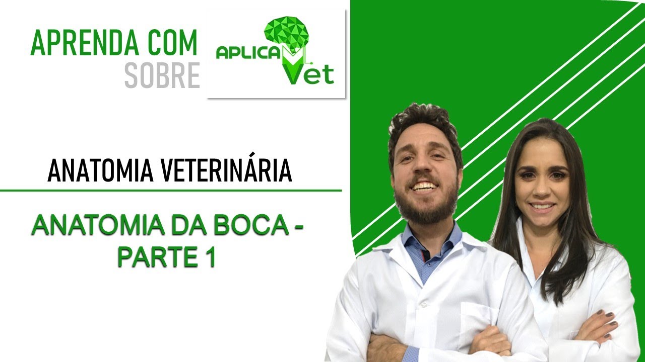 Anatomia Veterinária - Anatomia da Boca - Parte 1