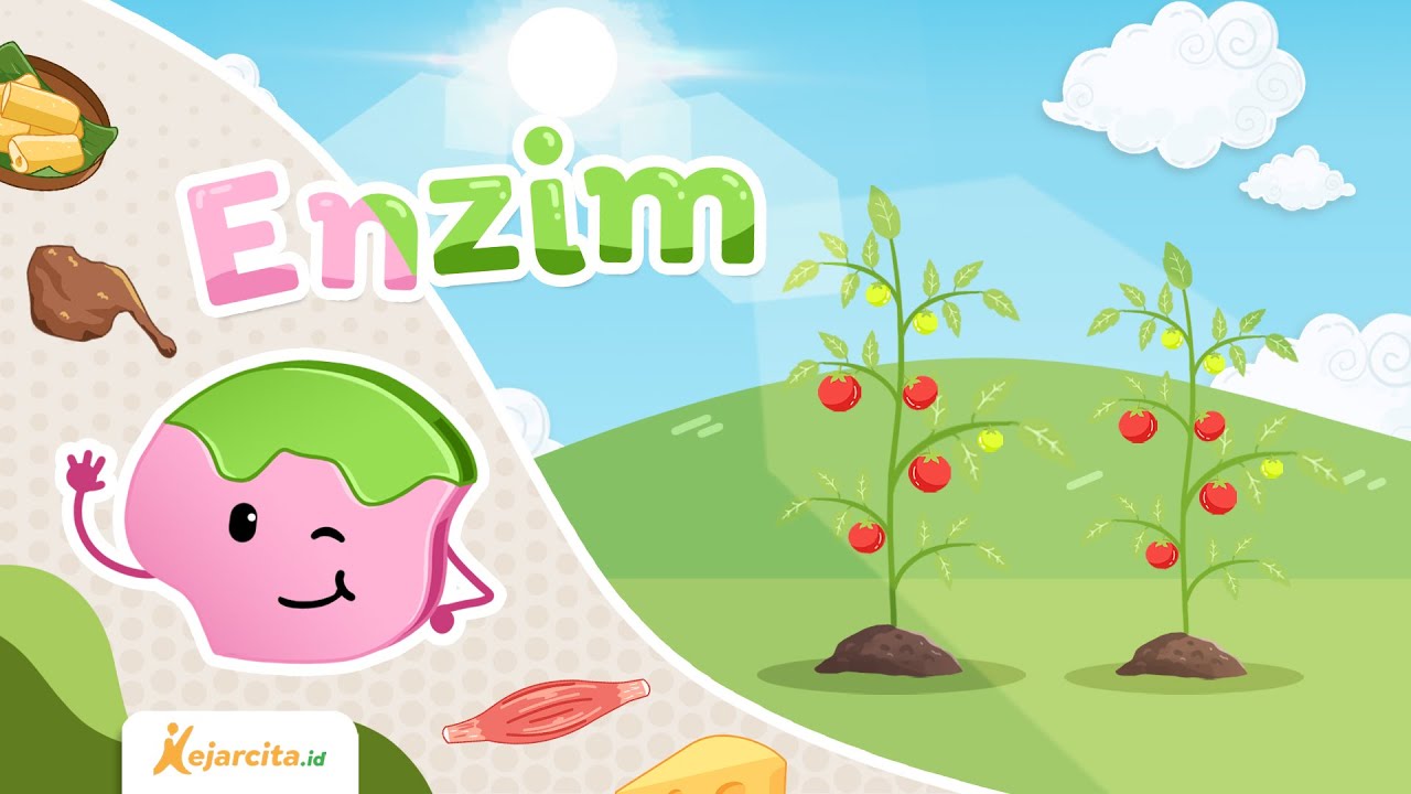 Enzim dan Metabolisme Sel | Biologi SMA
