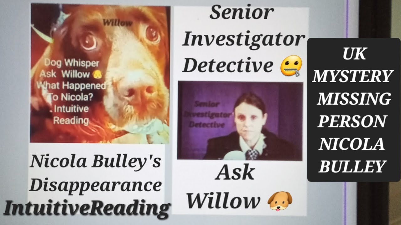 Dog Whisper Ask Willow🐶 Nicola Bulley`s Disappearance UK Intuitive Reading 2/17/23