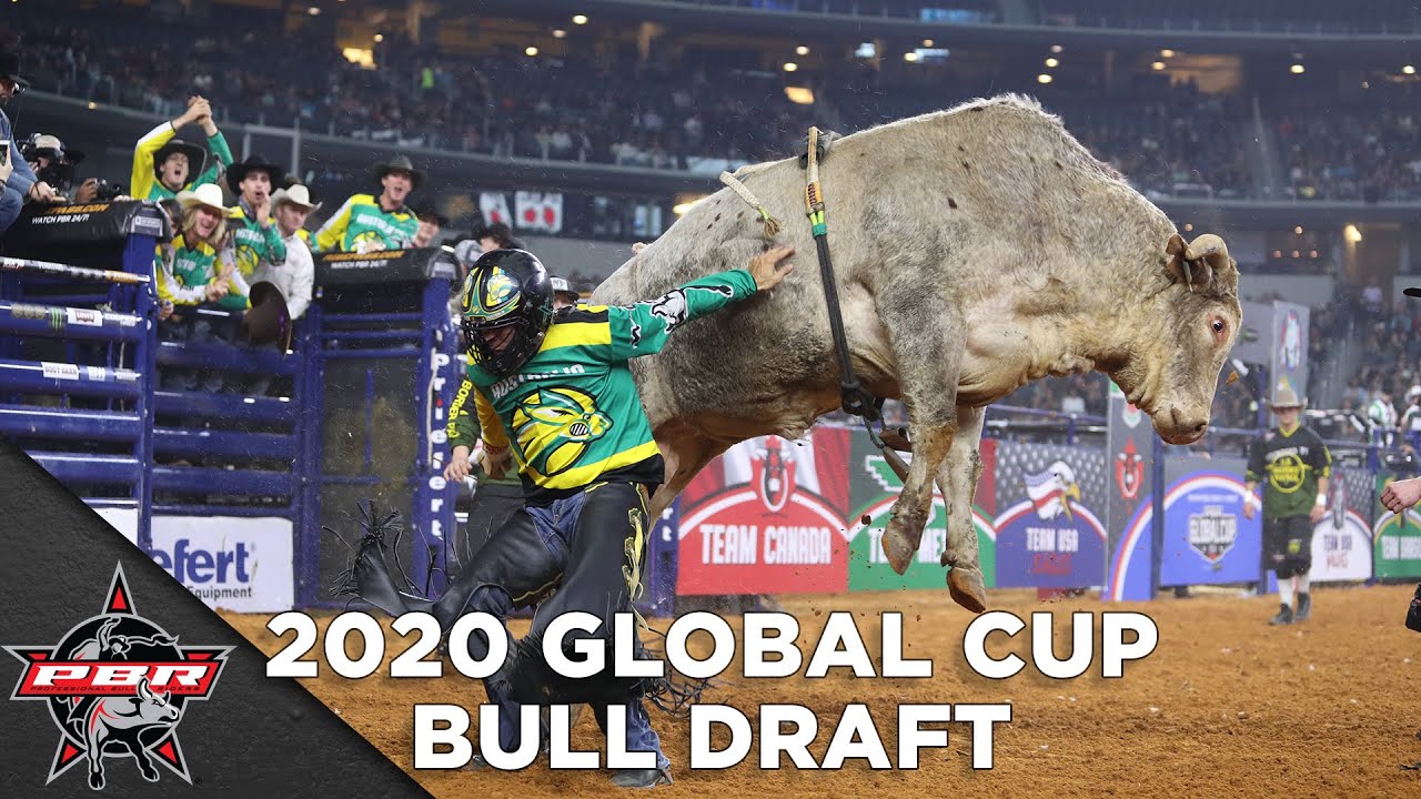 2020 Global Cup Bull Draft