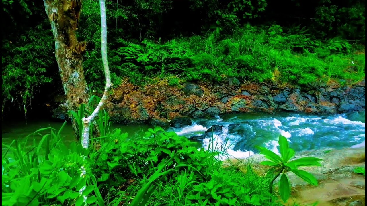 Beautiful Relaxing River  Nature Sounds Sleep Meditation Study Stress Relief Mindfulness