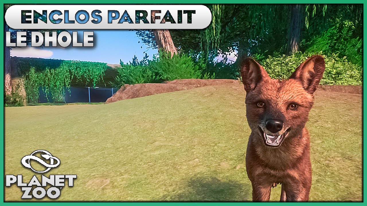 Les Dholes (Indiens) | LES ENCLOS PARFAITS : EPISODE 14 | PLANET ZOO