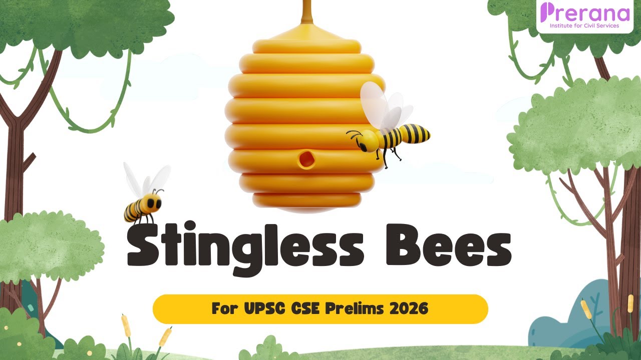 Stingless Bees Explained | Class 17 Environment | UPSC #environmentforupsc