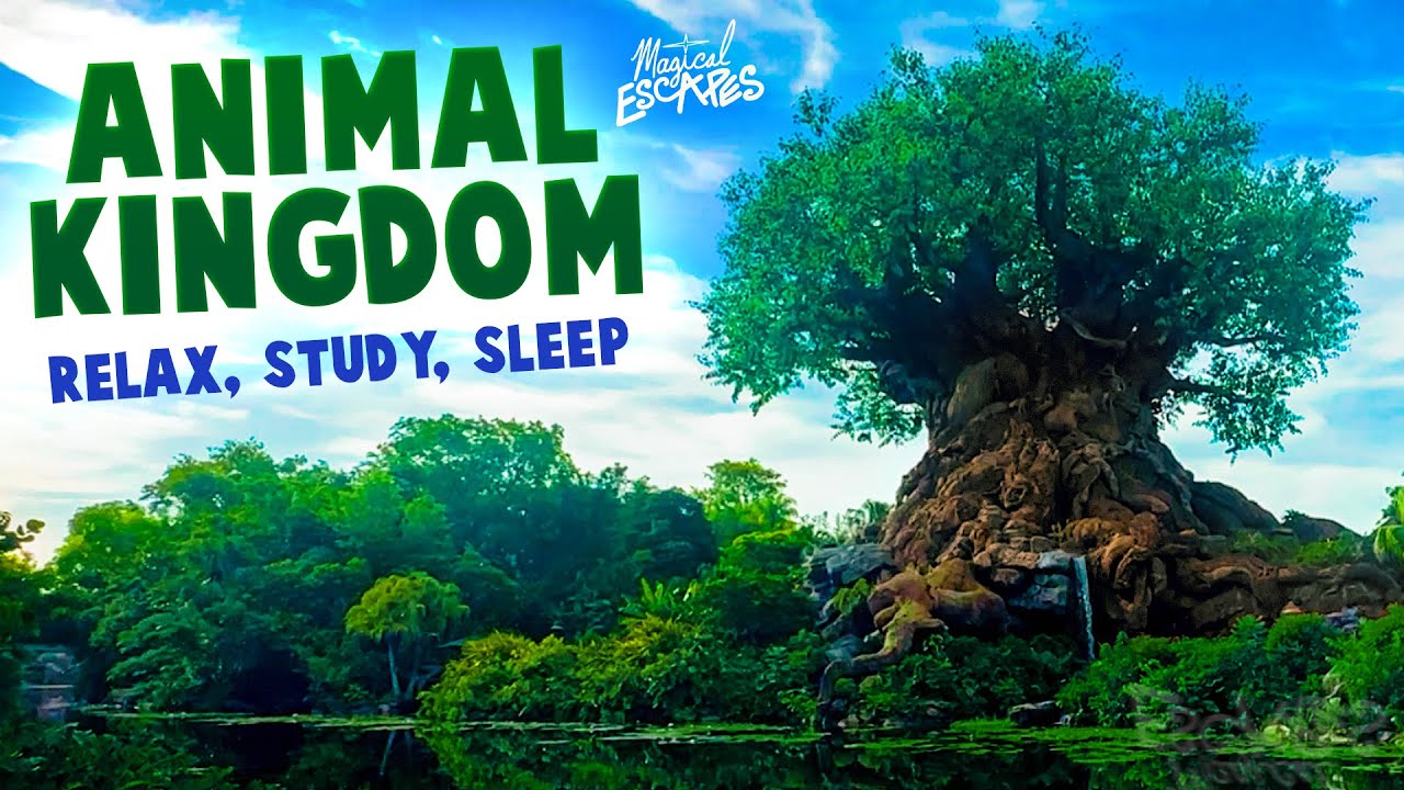 Animal Kingdom - Tree of Life - Disney World Ambience | Relax, Study, Sleep