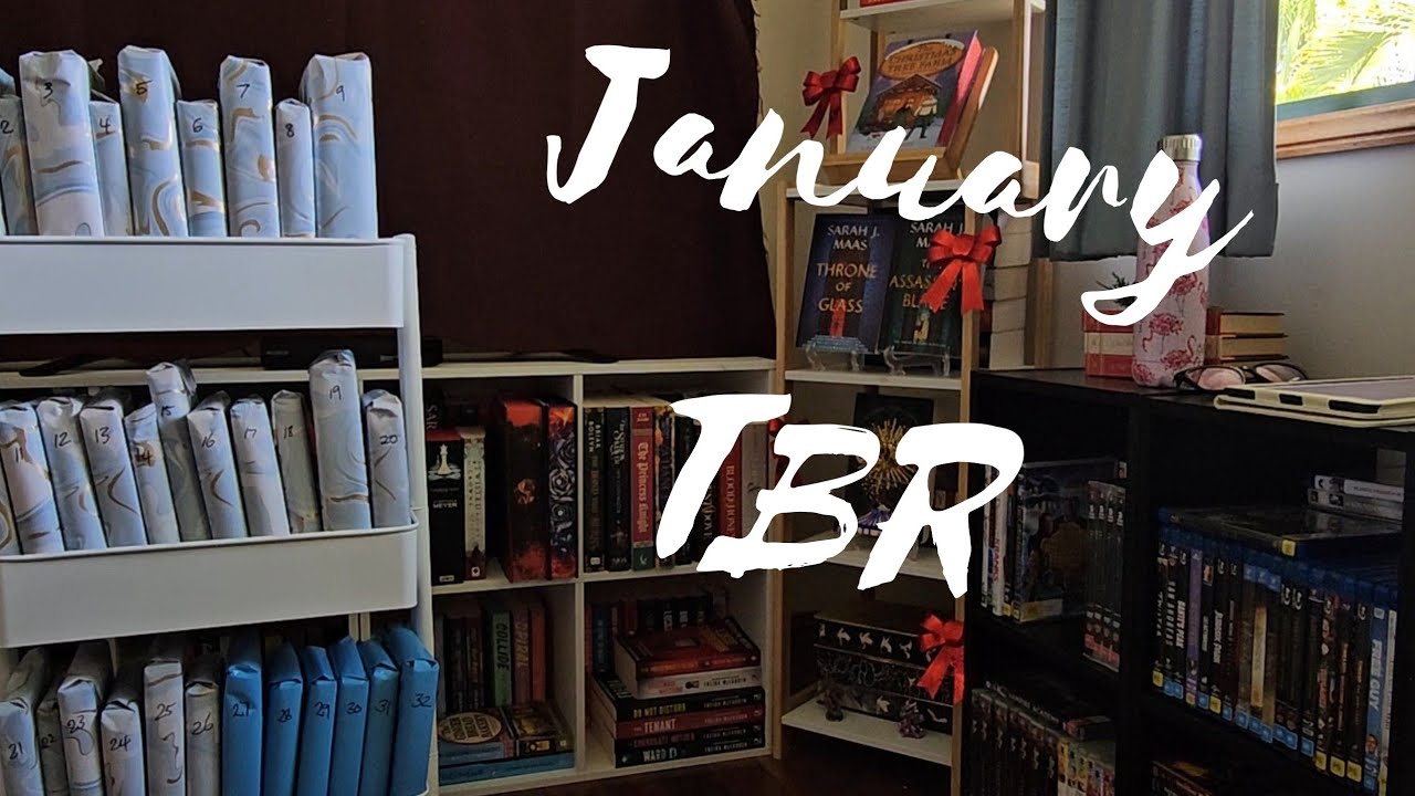 January TBR (wrapped books)