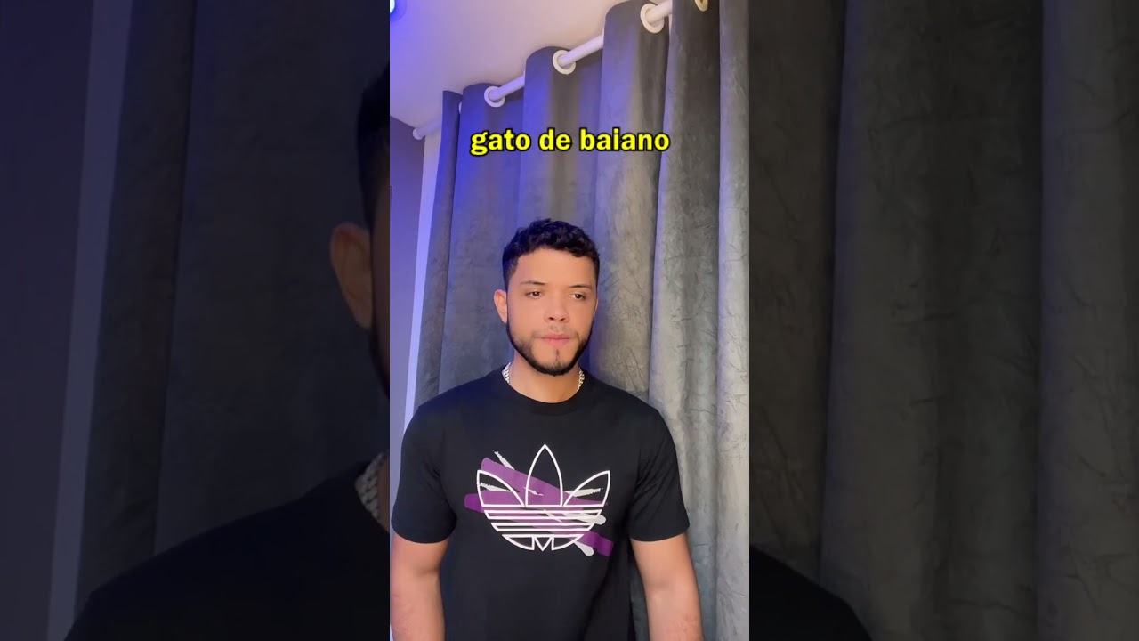 Gato de baiano