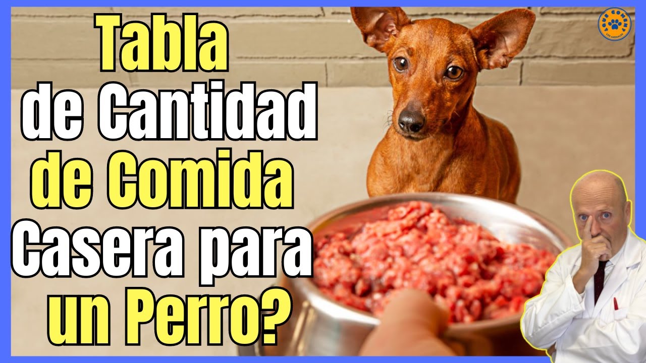🔴 TABLA DE CANTIDAD DE COMIDA CASERA PARA UN PERRO 🔴
