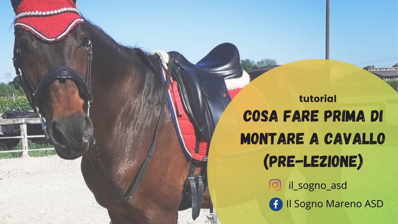 Cosa fare prima di montare a cavallo (Pre-lezione) - TUTORIAL