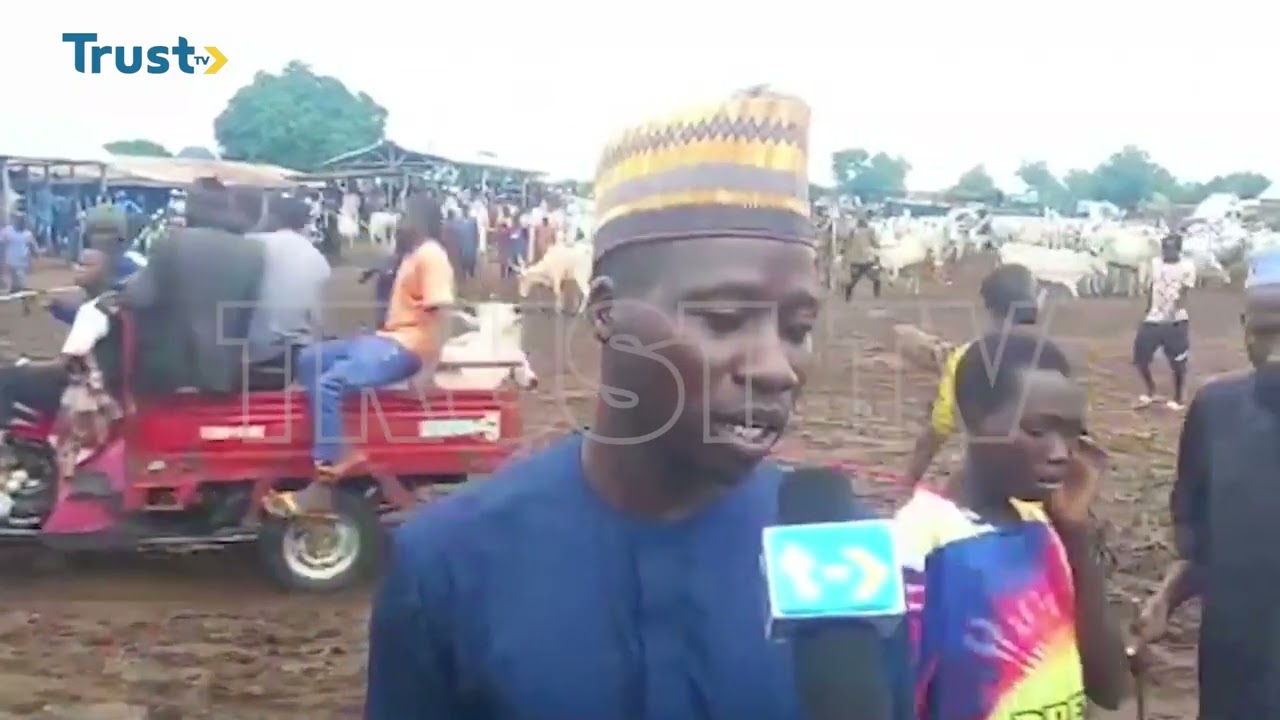 NORTH SOUTH CATTLE TRADE: Traders Lament Alleged Ipob Attacks On Members  | TRUST TV