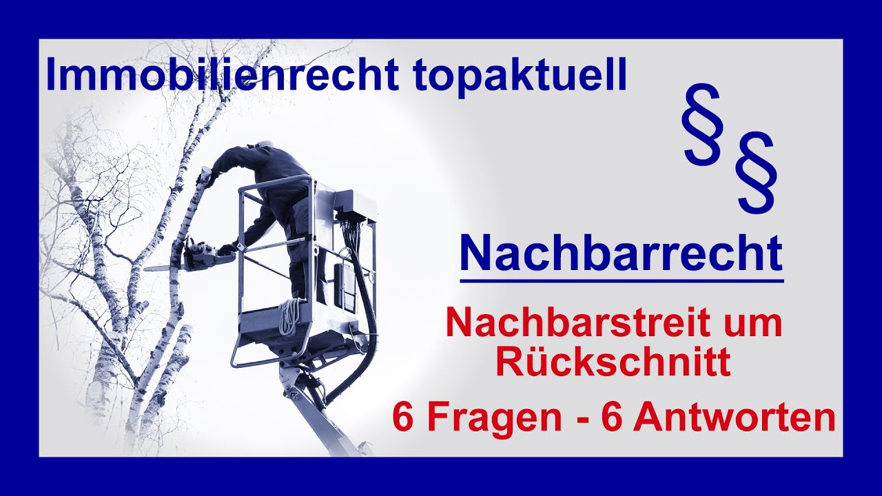 Rückschnitt - Rechte und Pflichten des Nachbarn  | Tutorial