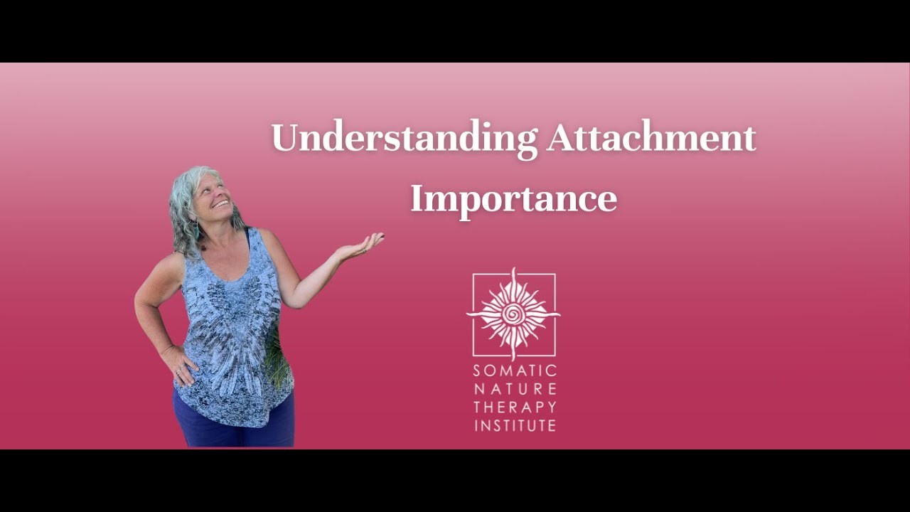 Understanding Attachment Importance