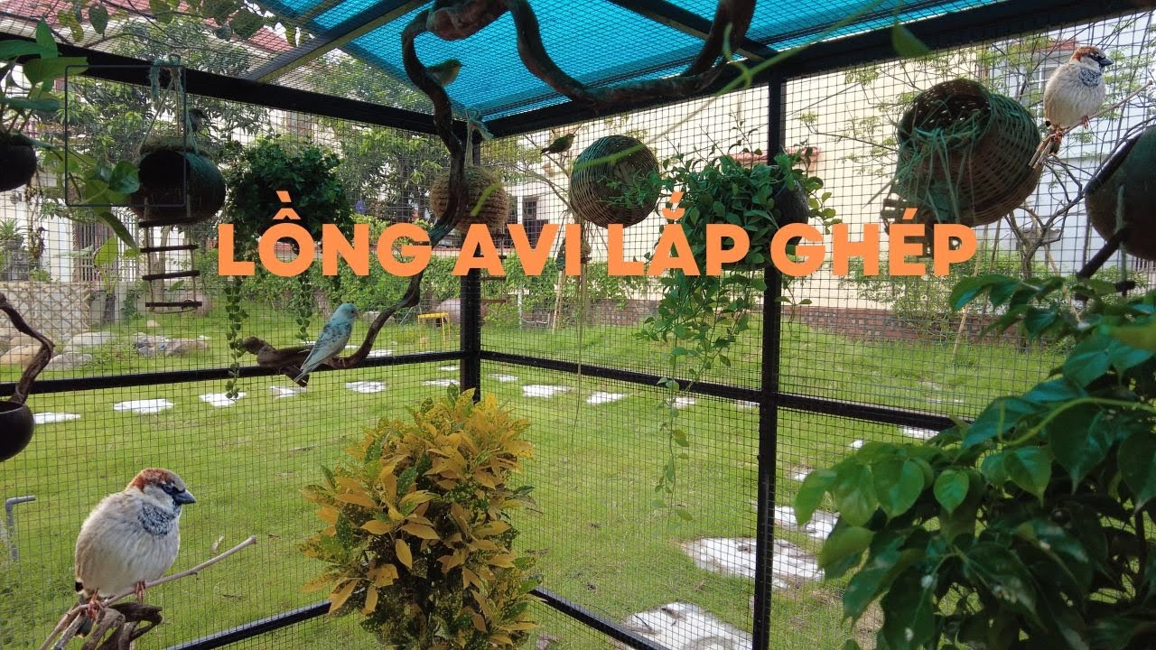 Lồng chim Avi lắp ghép giá rẻ - Setup lồng avi mini cực đẹp - Kienlinhtinhvlog