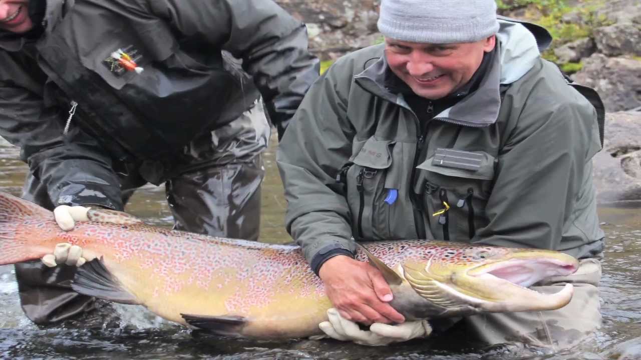 Monster 40 lb Salmon-Three Rivers-Kola Peninsula