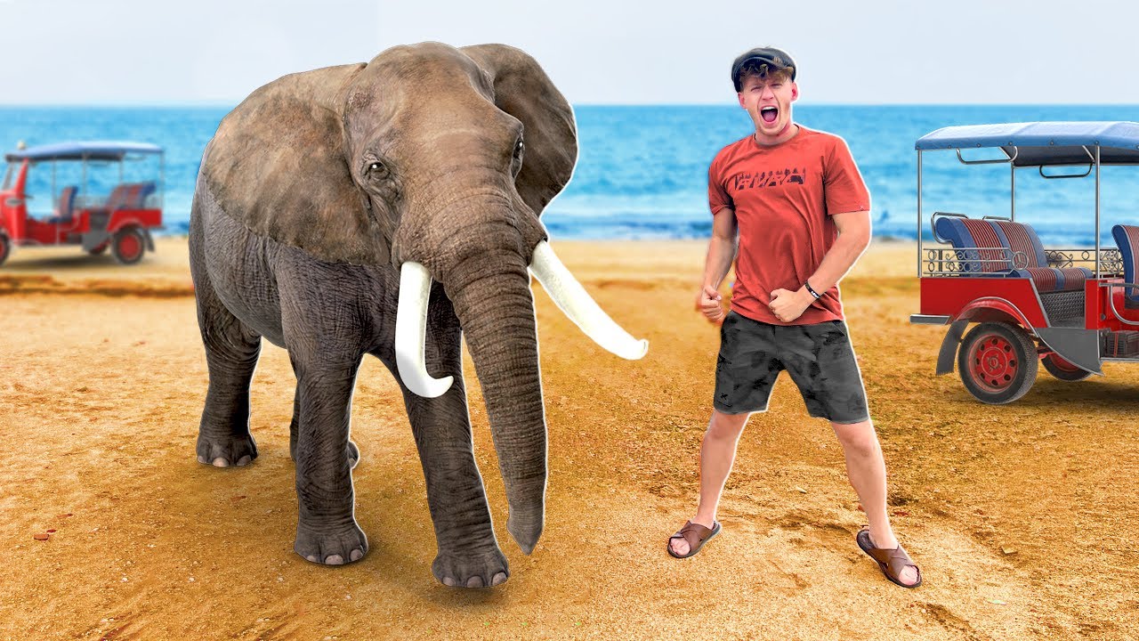 wij gaan op zoek naar WILDE OLIFANTEN in SRI LANKA