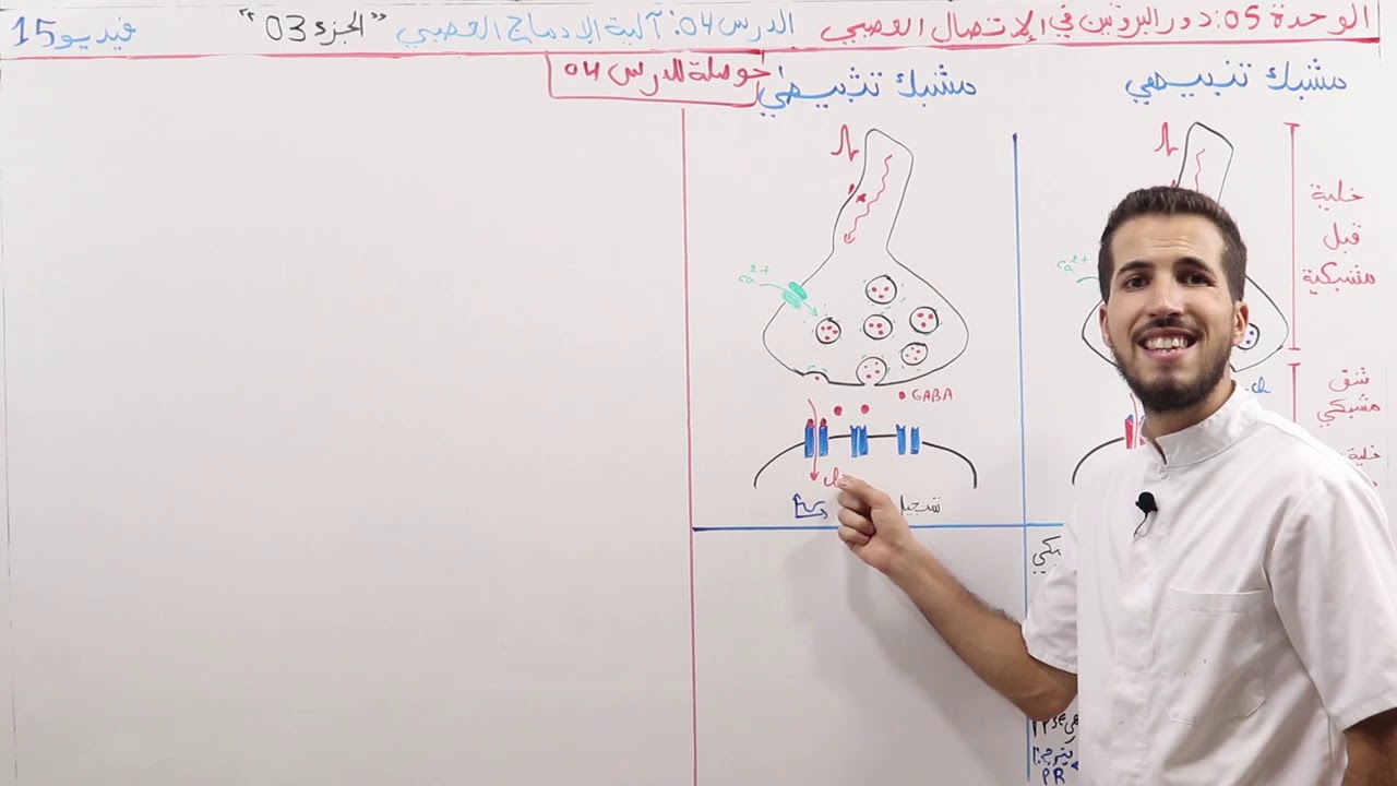 15#_الوحدة 05 الإتصال العصبي_حوصلة لدرس آلية الإدماج العصبي