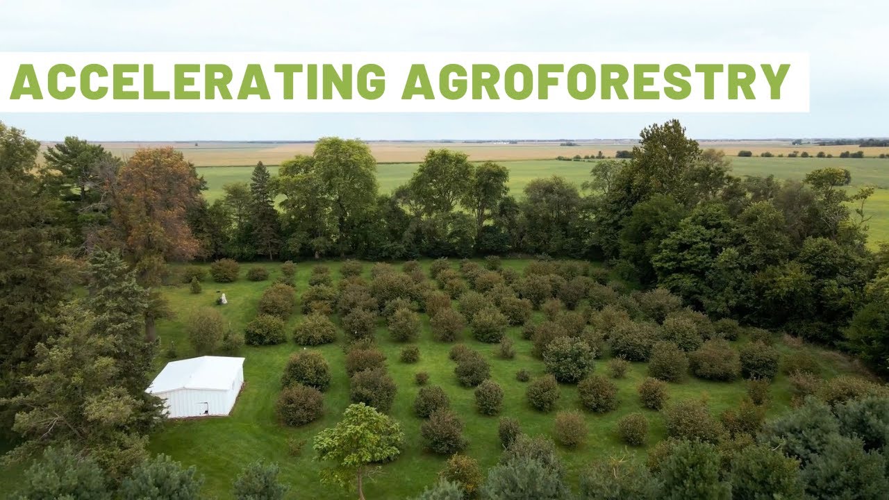 Hazelnut Farm of Hubbard Trail