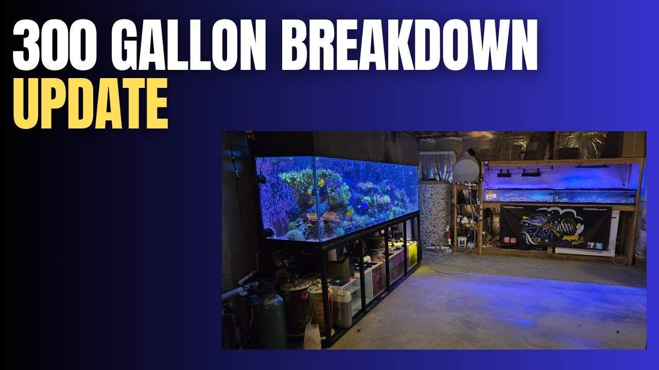 The 300 Gallon Breakdown & Moving Update
