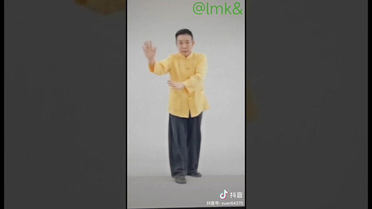 TaiChi Yang Tradicional 