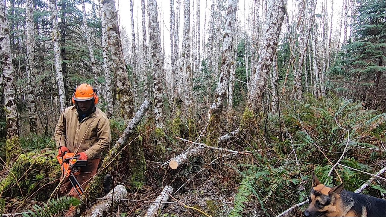 Husqvarna 435 Chainsaw /20