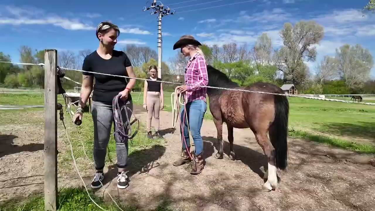 Jak na koně co se vytrhává z vodítka?