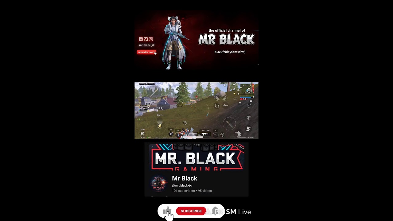 Live streaming of Mr Black
