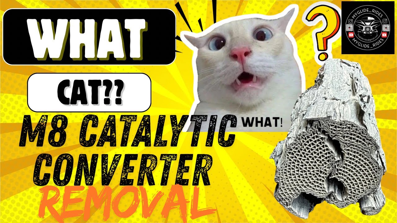 De-Cat Harley-Davidson M8 Exhaust Upgrade | Step-by-Step removal,  Catalytic Converter Removal 