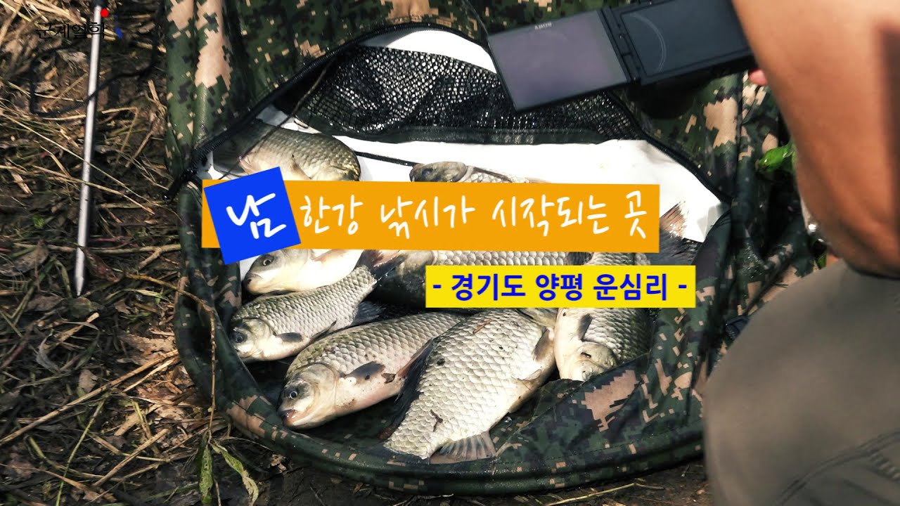 [자연지] 122.남한강 낚시가 시작되는 곳 - 경기도 양평 운심리(2020.10.4)