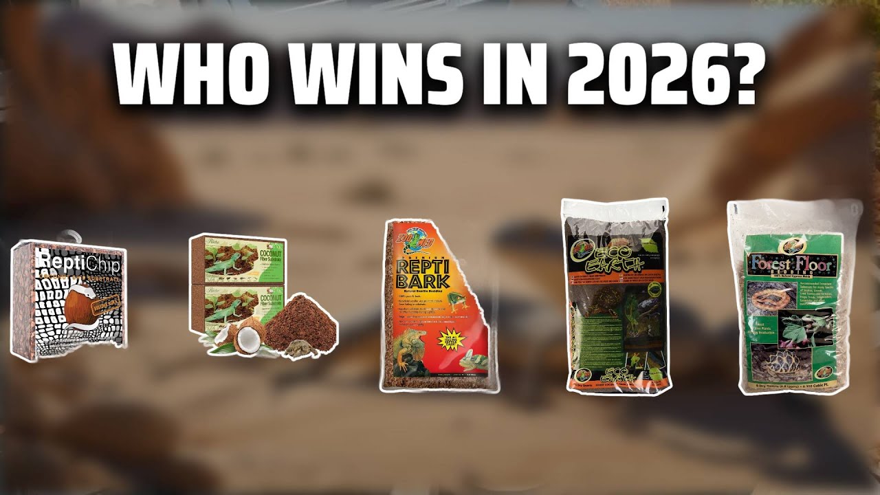 The Top 5 Best Reptile Substrate in 2026 - Must Watch Before Buying!