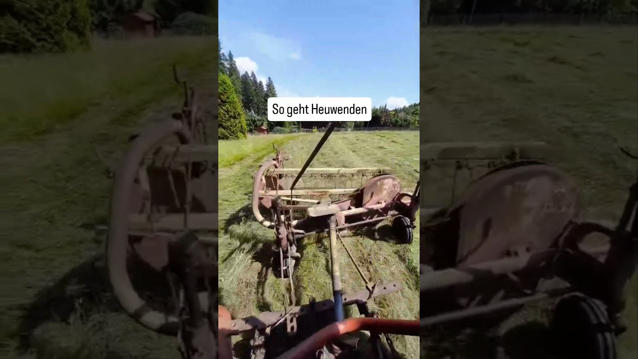So wird Heu gewendet 😎 Güldner + Oldschool-Heuwender in Aktion 🌾 