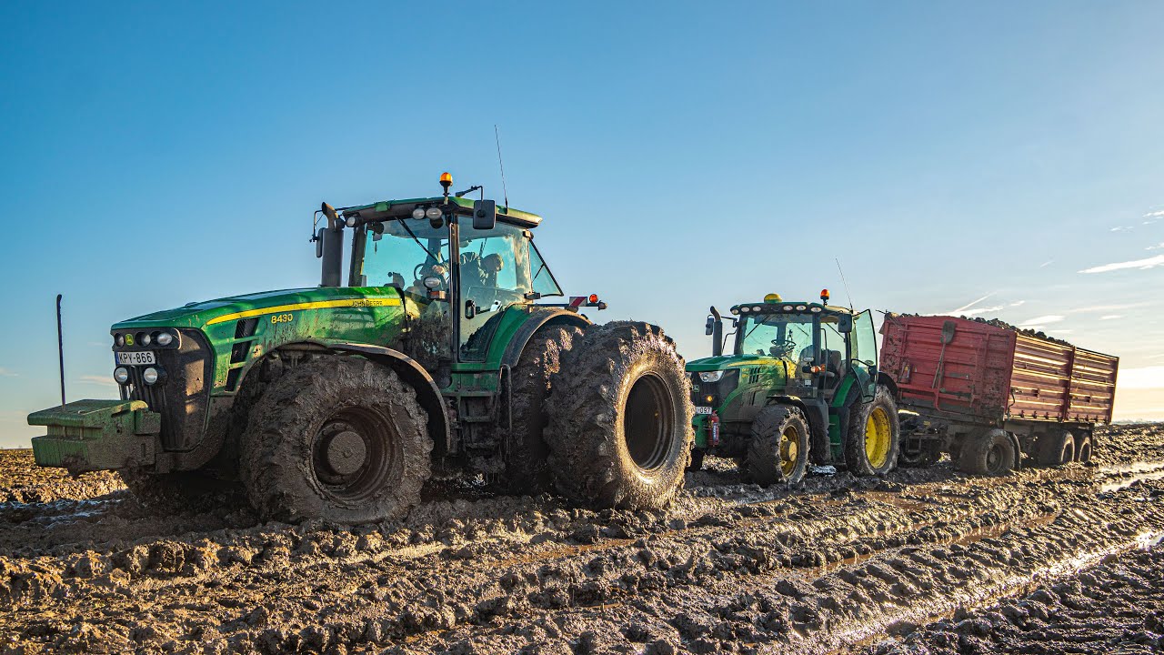 Pótkocsi mentése a sárból "2024" Cukorrépa hordás I Sugarbeet Transport in MUD