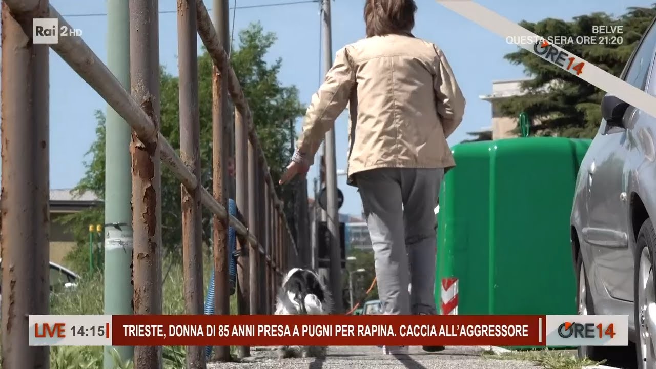 Trieste, donna di 85 anni presa a pugni per rapina - Ore 14 30/04/2024