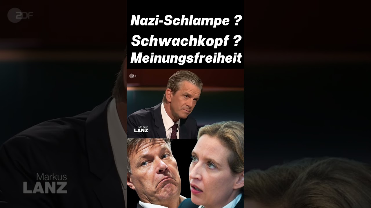 Nazi-Schlampe ? Schwachkopf ? Meinungsfreiheit (Markus Lanz)