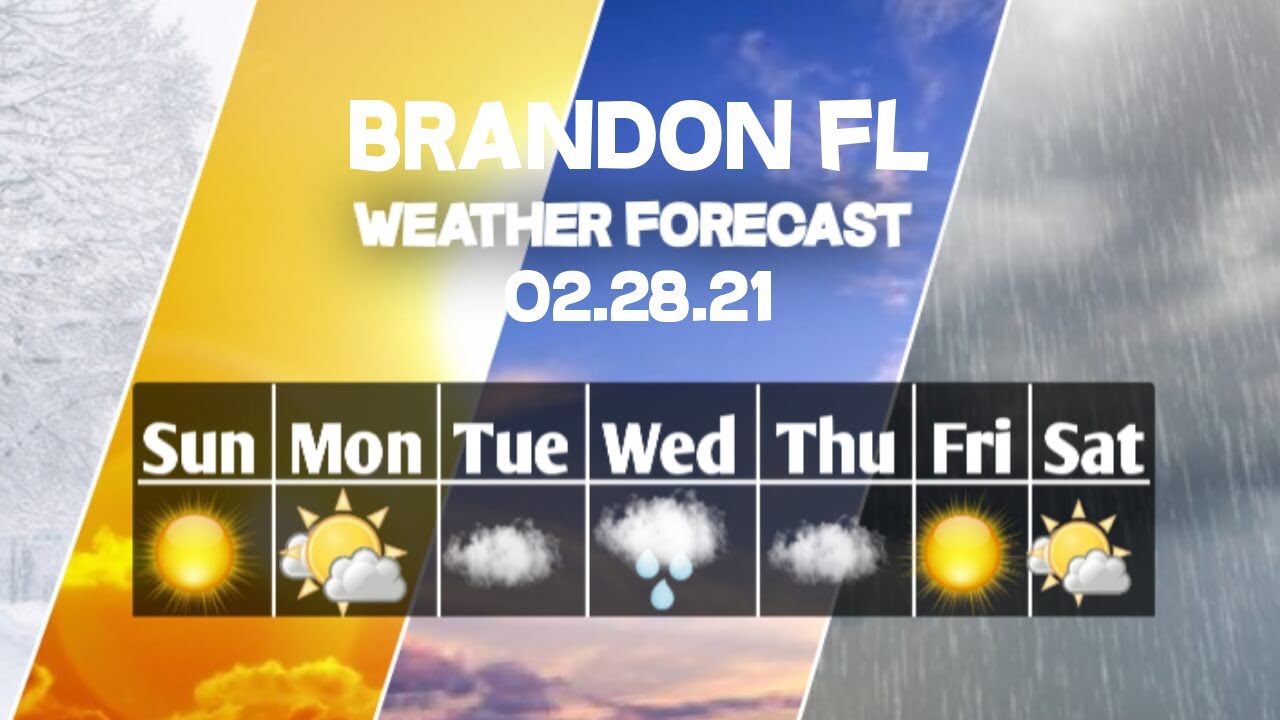 Weather Forecast Brandon, Florida ▶ Brandon weather Forecast 02/28/2021