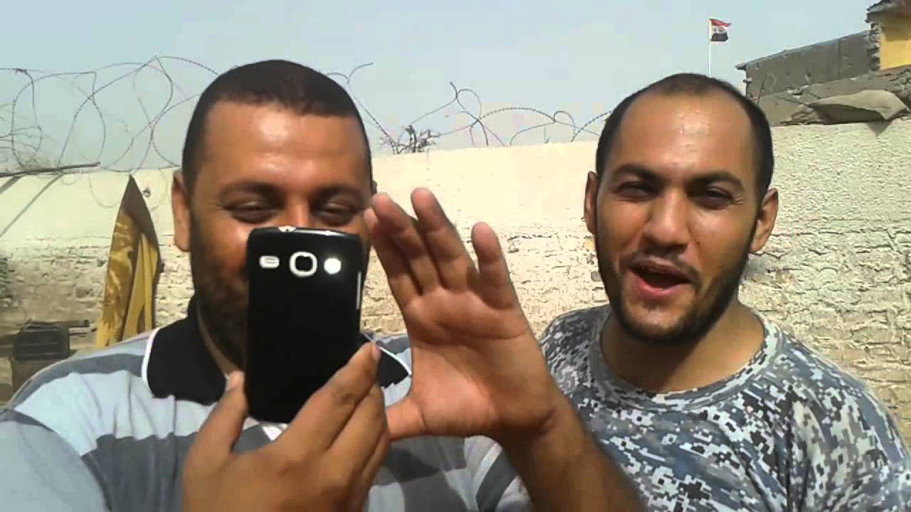 الضلوعية الإسناد