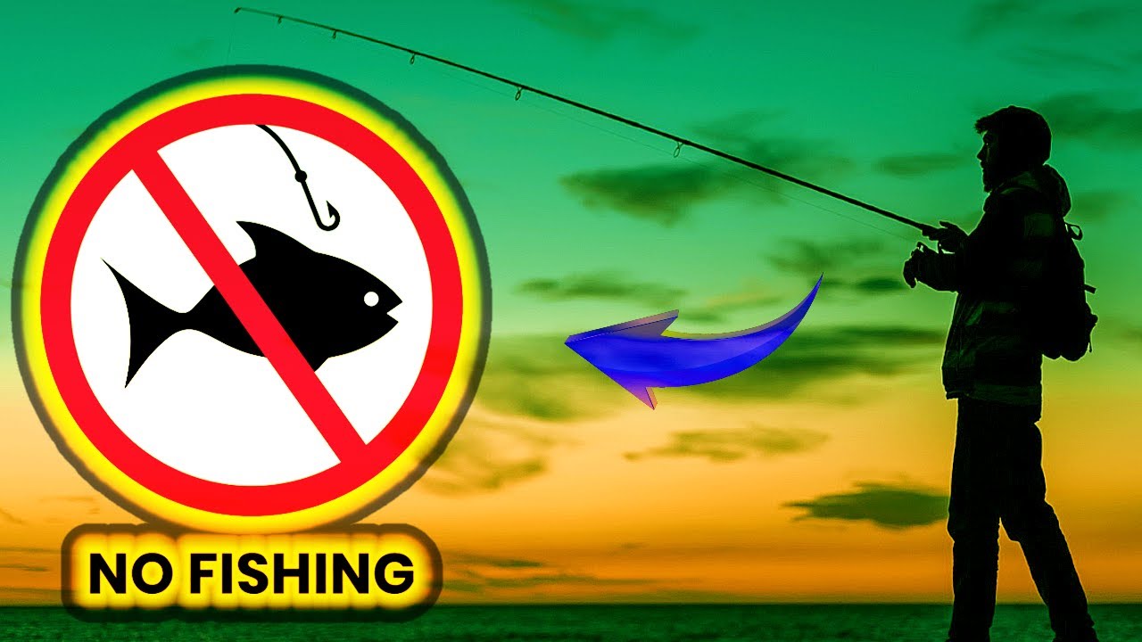 Descubre EL MEJOR MOMENTO para PESCAR A SPINNING en el mar // Pesca desde costa en galicia