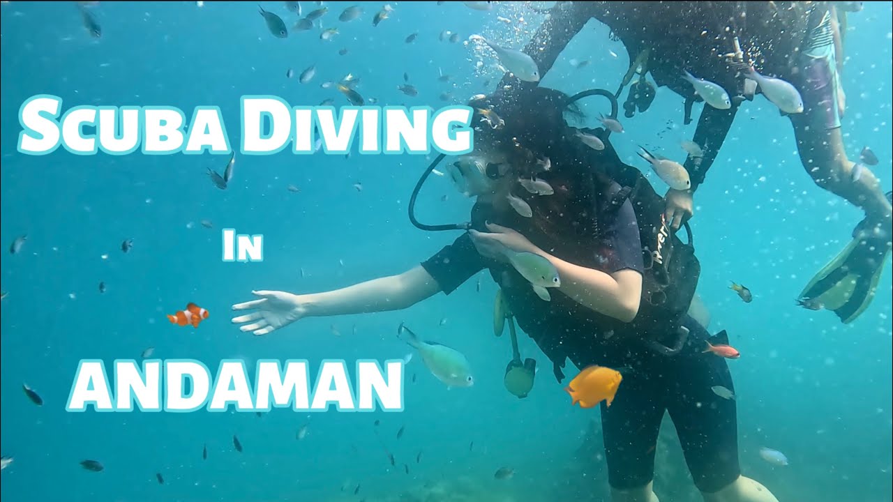 First time Scuba Diving in Andaman! - Nemo beach (Day 3)/ vlog/ blog/ Scuba diving in Havelock🪸🤿🐟😍