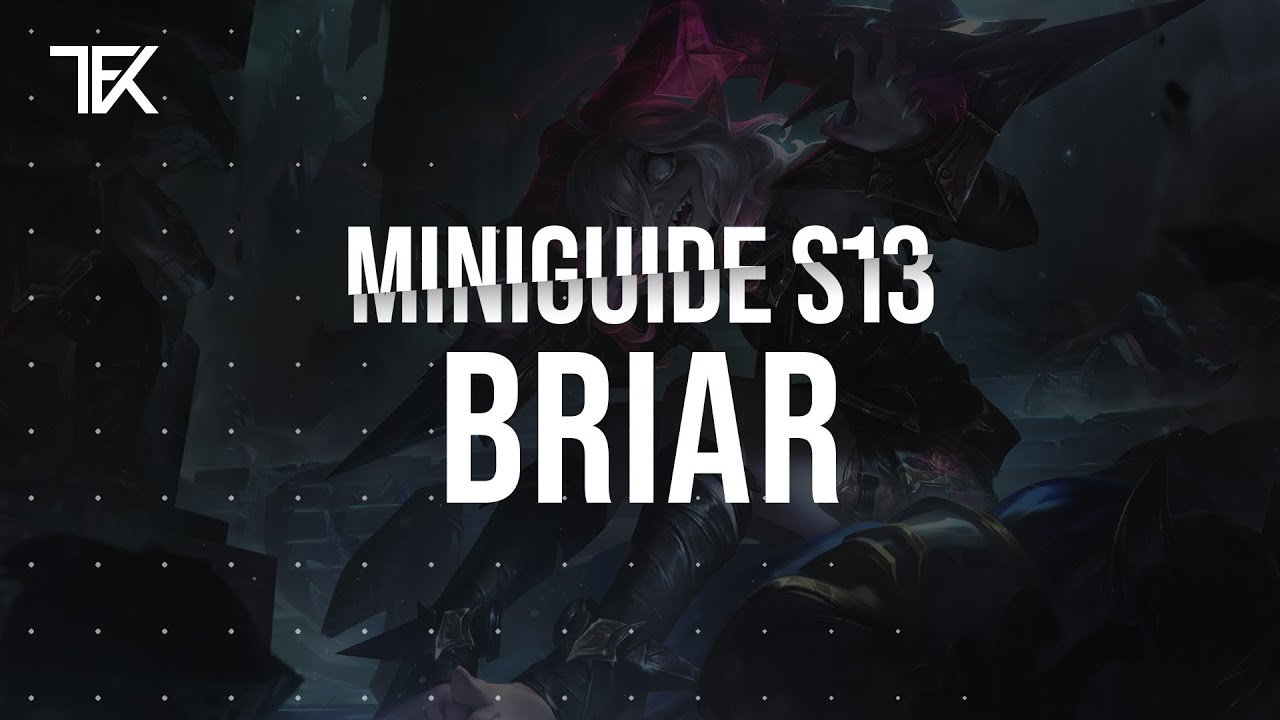 Briar Miniguide S13 | Team Freekills