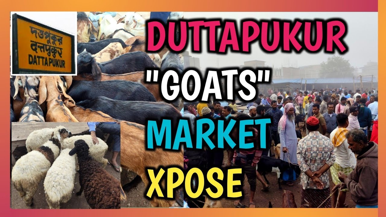 DUTTAPUKUR 