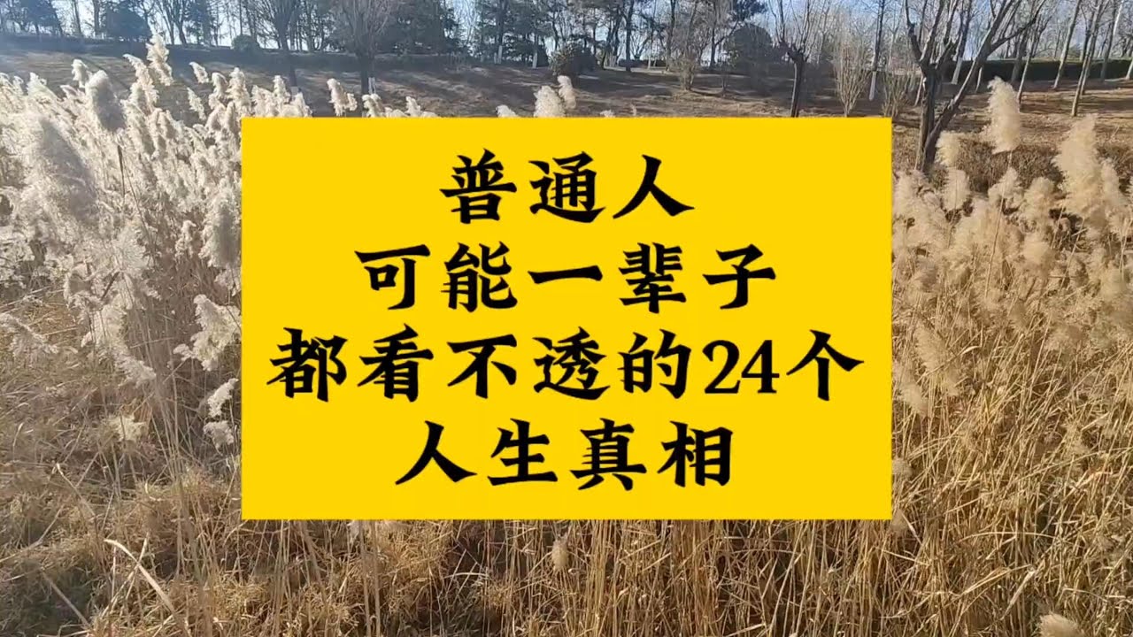职场、破局、社会真相、人生道理