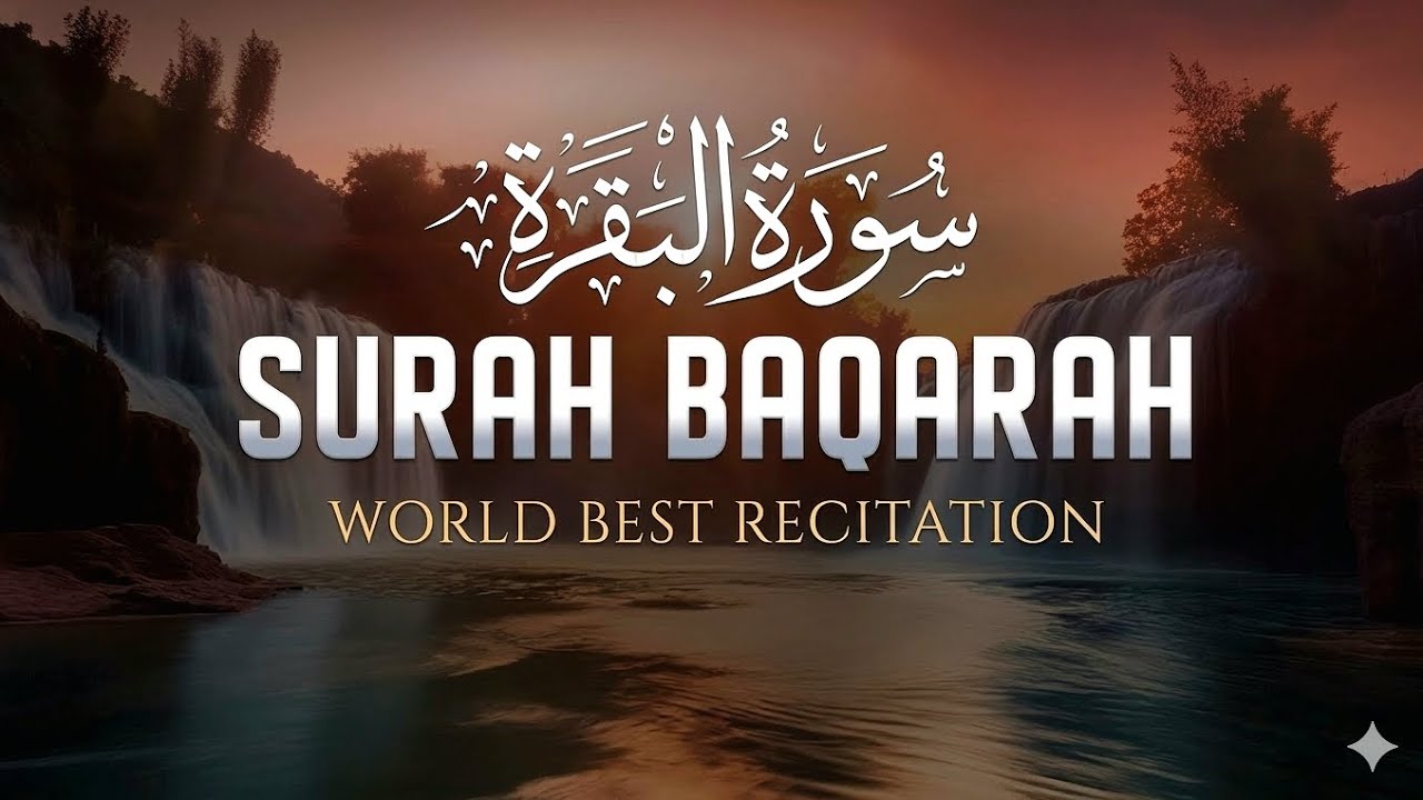 Surah Baqara || Best recitation || সূরা বাকারা || coppyright free Quran recitation 