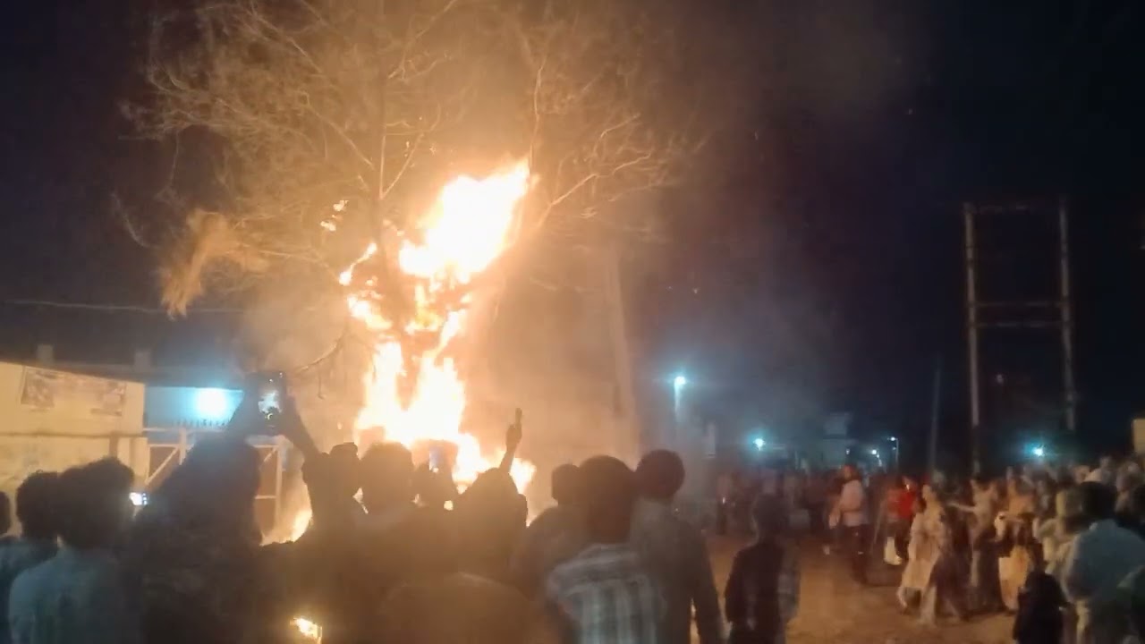 Hamirgarh ma holi 🤩 #sukhvlogs #sukhuppalvlogs 
