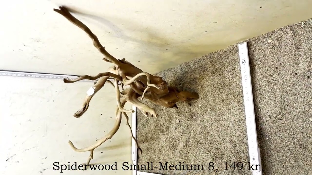 WYSIWYG - Nye Spiderwood S-M rødder på webshoppen