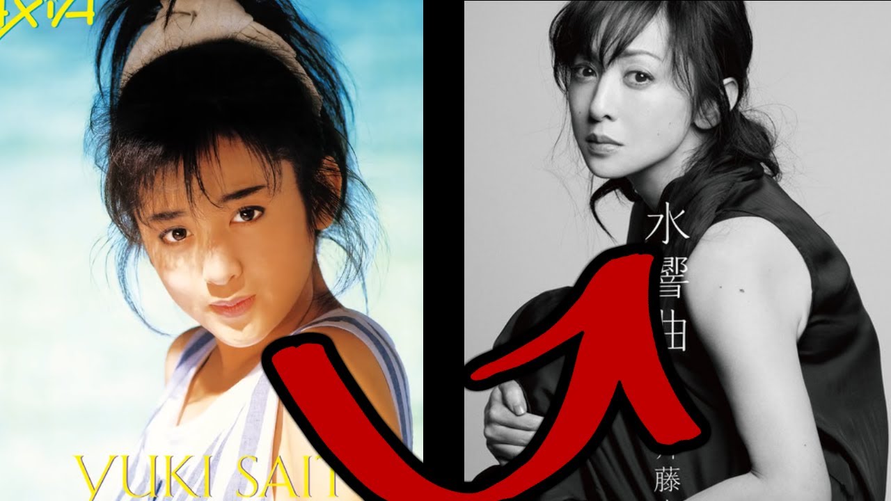 Sukeban Deka Retrospective Bonus Video
