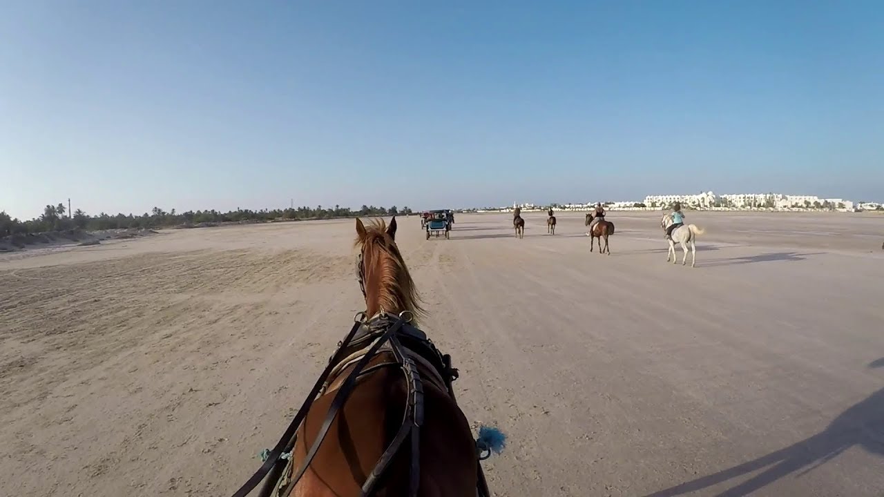 Tour en Calisse - Djerba - Tunisie